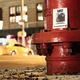 Illustration for article titled Missing mice posters are being pasted all over New York